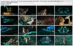 Rihanna - We Found Love (Live at The 54th Grammy Nominations Concert 2011) HDTV 1080i скринлист 