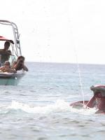 Рианна отдыхает на Барбадосе - 6 ноября 2013