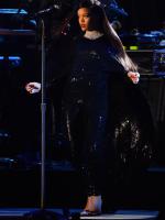 Рианна выступила на The Concert For Valor 2014